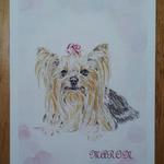 【kanakanahana様オーダー品】愛犬イラスト