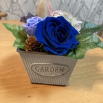 青い薔薇のブリザードフラワー