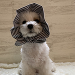 犬の　ぼうしみたいなスヌード👒　ストライプ🦓