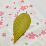 桜餅の葉の国産本革ブックマーカー