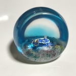 サンゴ礁の一雫 アオウミウシ