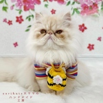🌸🐝蜂さんモチーフ巾着ポシェット🐝🌸　ペット　猫　ポシェット　バッグ　ネックレス　