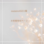 ドライフラワー𑁍𓏸𓈒ヘアクリップ  レジンヘアクリップ    ドライフラワー     