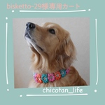 ⭐︎ bisketto-29様専用カート⭐︎他の方のご購入はお控えください