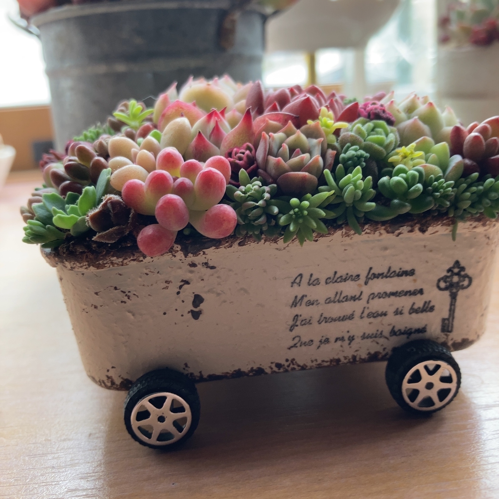 ❤️多肉植物❤️そのまま飾れる寄せ植え❤️手押し車❤️ 多肉植物寄せ植え そのまま飾れる ちま寄せ花車 - メルカリ