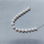 あこや真珠　8-8.5mm　テリ・巻き良し　17珠入り※現品限り