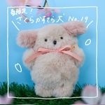 【春限定】さくらかすてら犬No.19