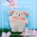 【春限定】さくらかすてら犬No.21