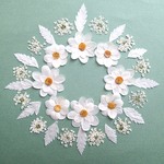 押し花セットH＜組み立ての白いお花2種・レザーファン・レースフラワー＞