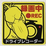 ハシビロコウが撮っています　マグネットステッカー　（サイズ：１４ｃｍ✕１４ｃｍ）