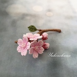 ブローチ〜小さな枝桜(薄桃)〜