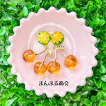 SALE🉐【チェリーが主役🍒🍹】イエロー／グリーン／さくらんぼ／花／スターフラワー／ドライフラワー金属アレルギー対応／サージカルステンレスピアス、イヤリング可／大ぶり／揺れる