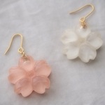 【再販】耳に水菓子ピアス（桜：白）