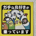 ガチな鳥好きが乗っています　シールステッカー　家鳥版（サイズ：６ｃｍ✕６ｃｍ）