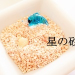 【１０ｇ】　星の砂　約１ｍｍ～３ｍｍ前後