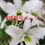 s様専用追加料金
