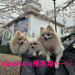 nanahaha様専用ページ