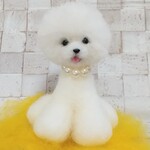 ビションフリーゼ マスコット