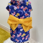 ★新作★⭐︎犬服⭐︎浴衣 女の子用 金魚柄 リップル 