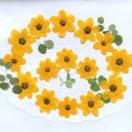 押し花＊ハッピーエンパイア15