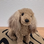 トイプードルぬいぐるみ　オリジナル