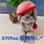 0709ao 様専用✩.*˚ソックアニマル