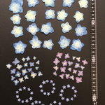 押し花  特別オーダー品 NO.260