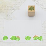 多肉植物のはんこ ニジノタマ