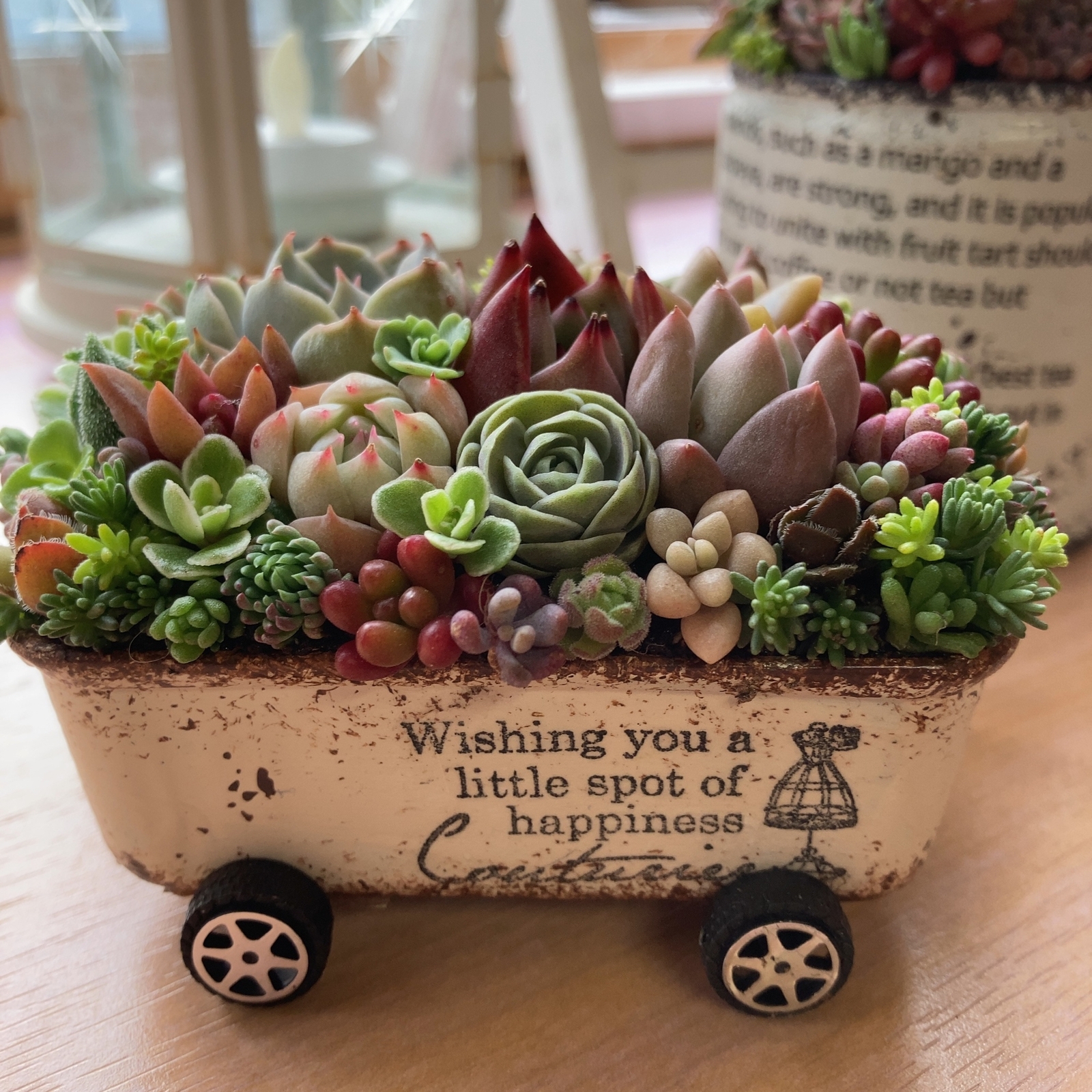 オーダー承ります 多肉植物寄せ植え そのまま飾れる ちま寄せ花車