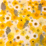 ♡new♡作家様必見♡押し花MIXセット♡押し花セット