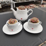 お茶会GARDENセット☕️