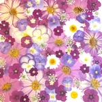 ♡new♡作家様必見♡押し花MIXセット♡押し花セット
