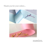 mmm-3様専用 cat用リボン ２点