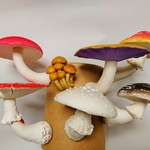 kimitty様専用出品　壁からキノコ　