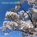 watanabe様専用