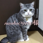 オーダーペイントの猫ちゃん