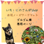 ゴルゴム様専用ページ