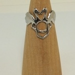 フラミンゴ11号の指輪