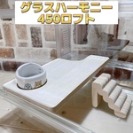 ハムスター グラスハーモニー450専用支柱無しロフト 階段付