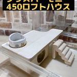 グラスハーモニー450ロフトハウス 階段付