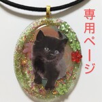 お客様専用ページ★アクセサリー