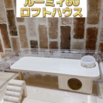 ハムスター ルーミィ60専用ロフトハウス 階段付き