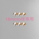 🐶🐶🐶18minto様専用🐶🐶🐶