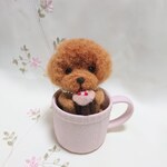 ティーカッププードル🐩　ケーキはいかが🍰🍰🍰