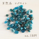 no.1009   天然石ビーズ　アパタイト　さざれ　約15g