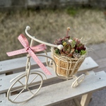 ★送料無料★♡そのまま飾れる♡ミニサイクルの多肉植物寄せ植え╰(*´︶`*)╯♡