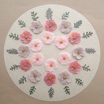 押し花セットD＜組み立ての花＆シルバーレース＞