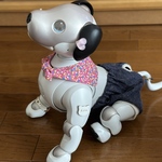 カラフルドットのセーラーカラー☆ピンク