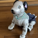カラフルドットのセーラーカラー☆ミント
