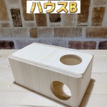 特ハウス